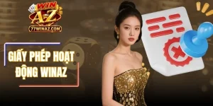 Giấy Phép Hoạt Động WinAZ