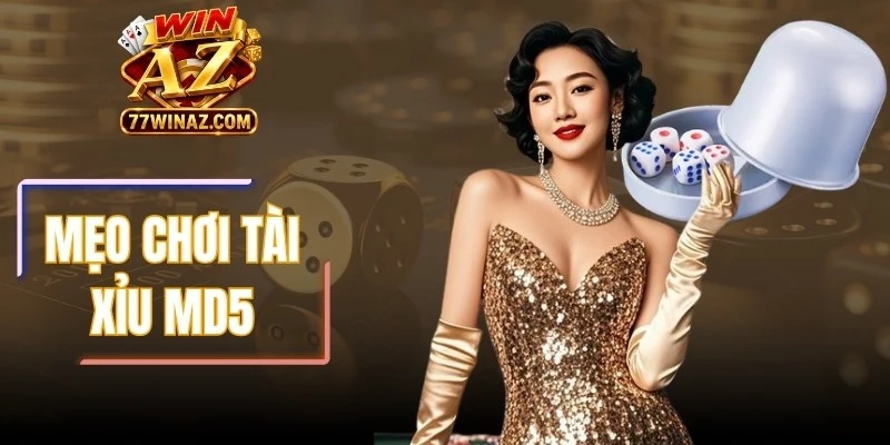 Mẹo Chơi Tài Xỉu MD5